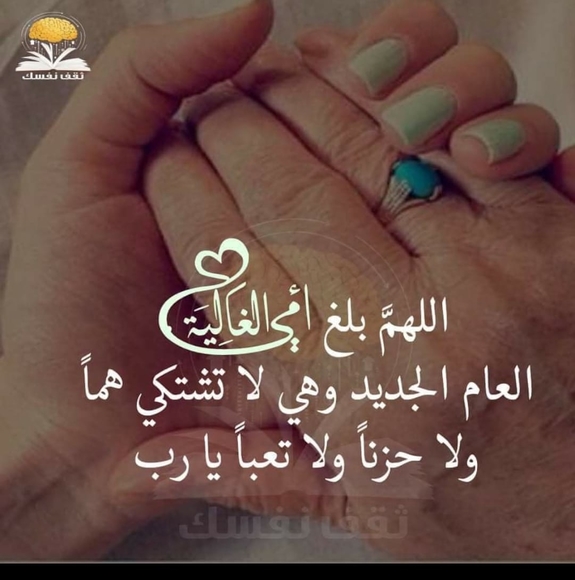 nouha_x